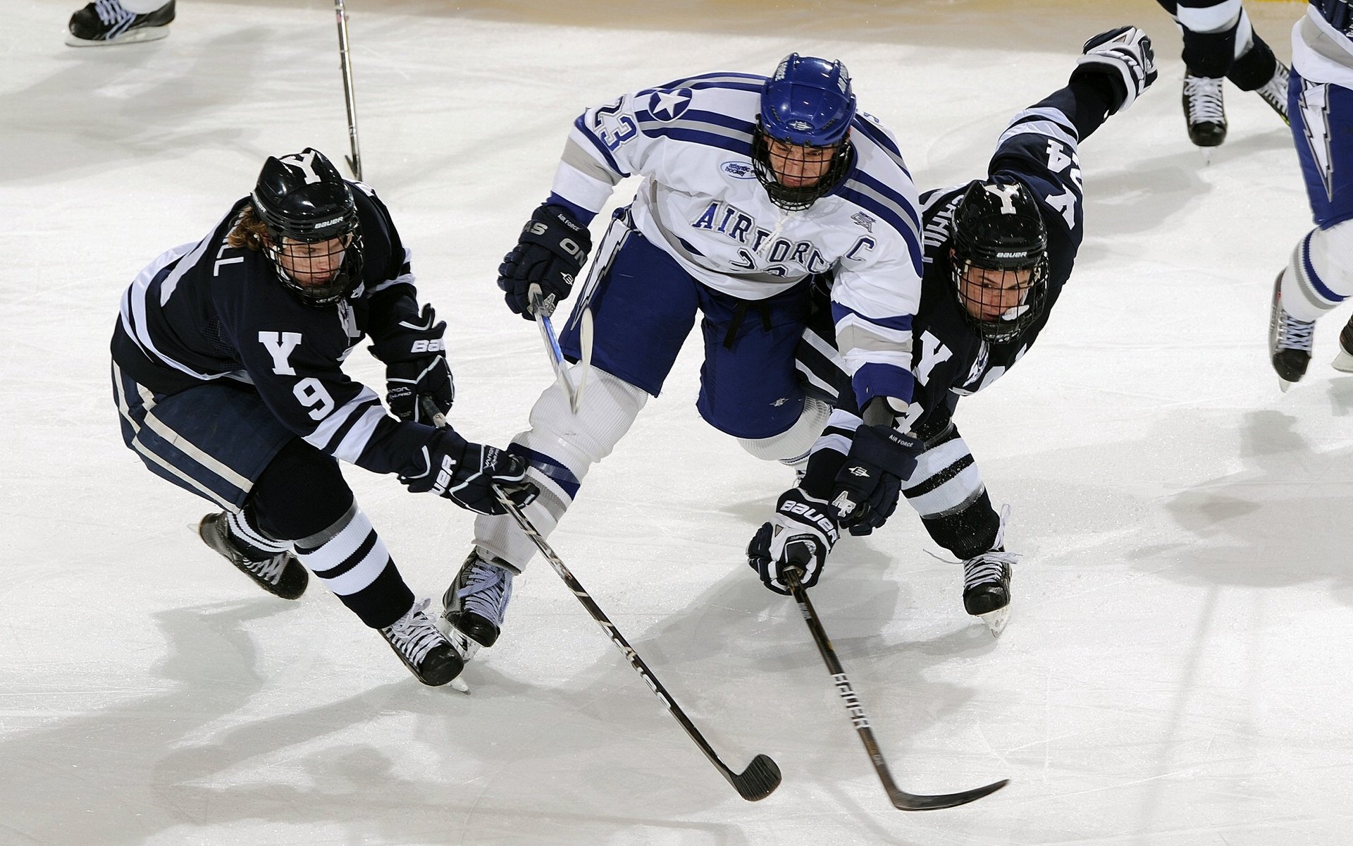 波兰队赛制解读：如何通过赛制增强团队协作与默契，波兰队的比赛